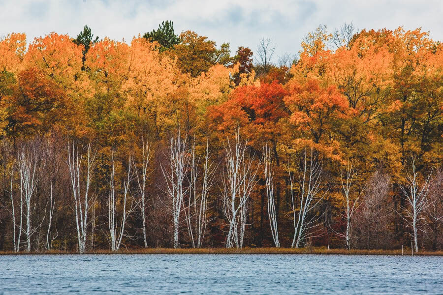 Autumn In Eagle River, Wisconsin